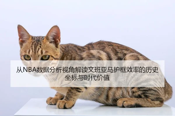 从NBA数据分析视角解读文班亚马护框效率的历史坐标与时代价值